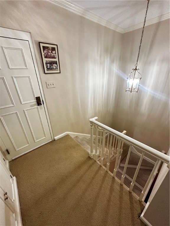 307 S Dithridge St #801/901, Oakland, Pennsylvania image 26