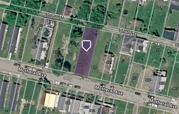 431 MOTHERAL AVE, MONESSEN, PA 15062 - Image a7fda2e894c704f0bac71c114492bea0/834984595