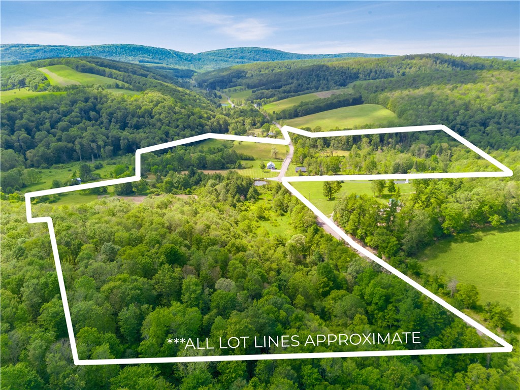 1171 Dividing Ridge Rd