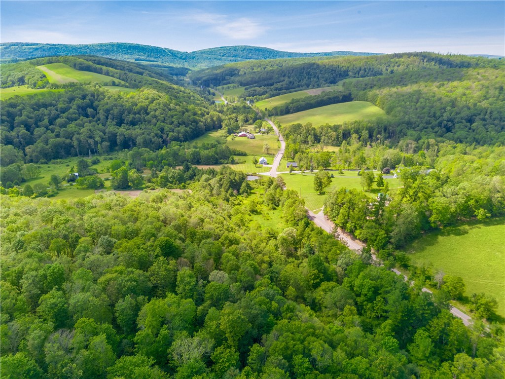 1171 Dividing Ridge Rd