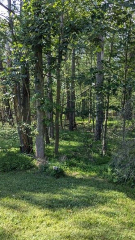 4 Horse Shoe Bend Rd