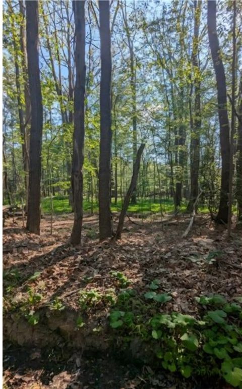 4 Horse Shoe Bend Rd Bullskin Twp PA 15610