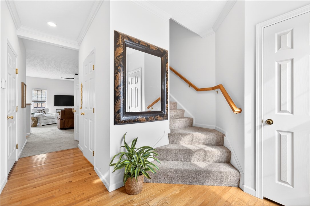 785 Norwegian Spruce