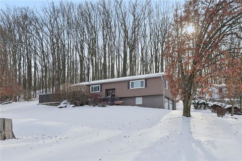 644 Palo Alto Dr Perry Twp PA 16117