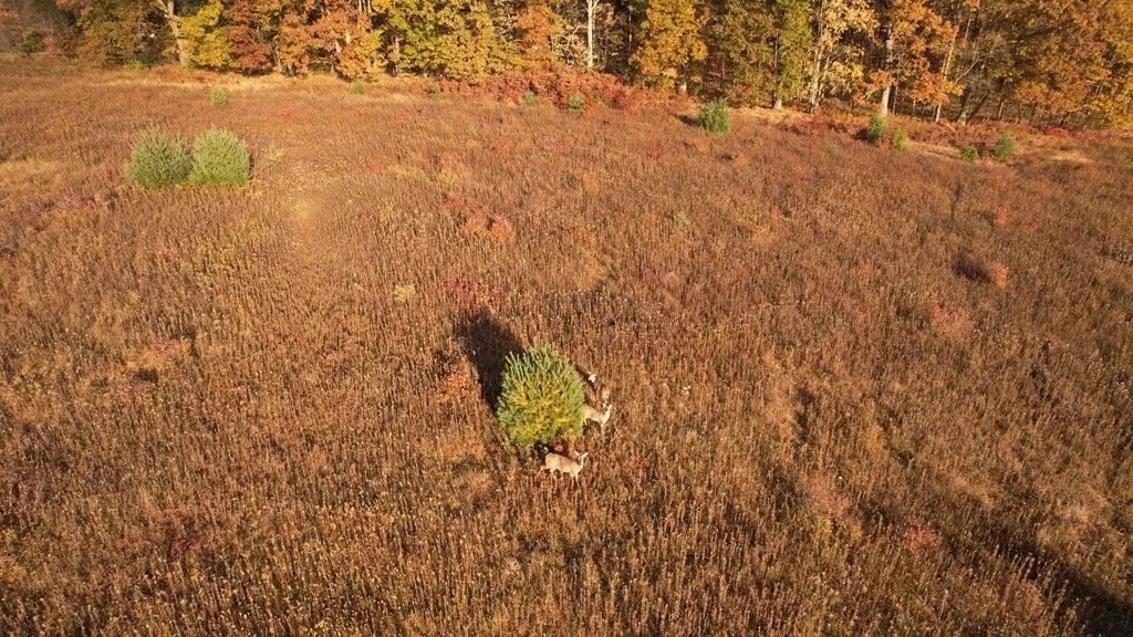 Other, Pennsylvania 16353, United States, 5 Bedrooms Bedrooms, ,2 BathroomsBathrooms,Residential,Active,227131