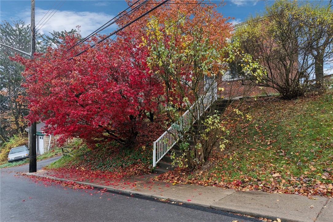717 Tonopah Ave Ave, Beechview, Pennsylvania image 25