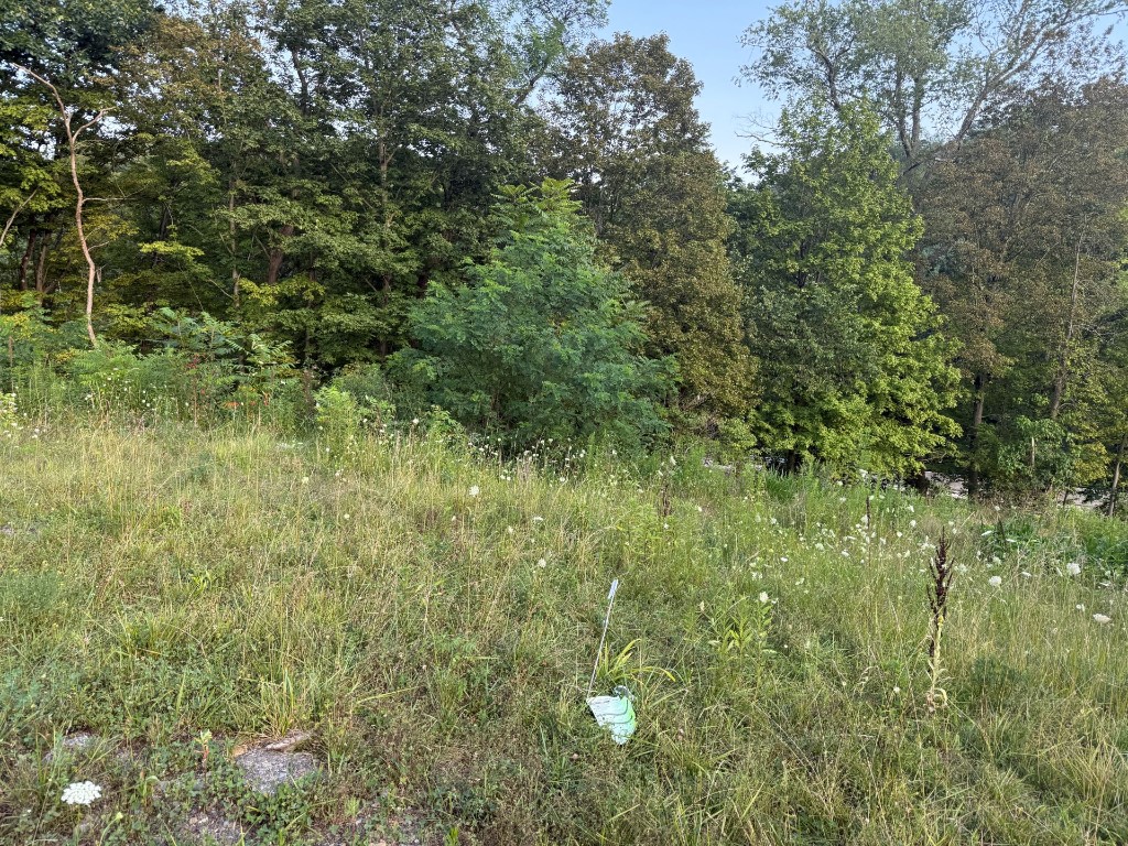490 Freedom Crider Rd