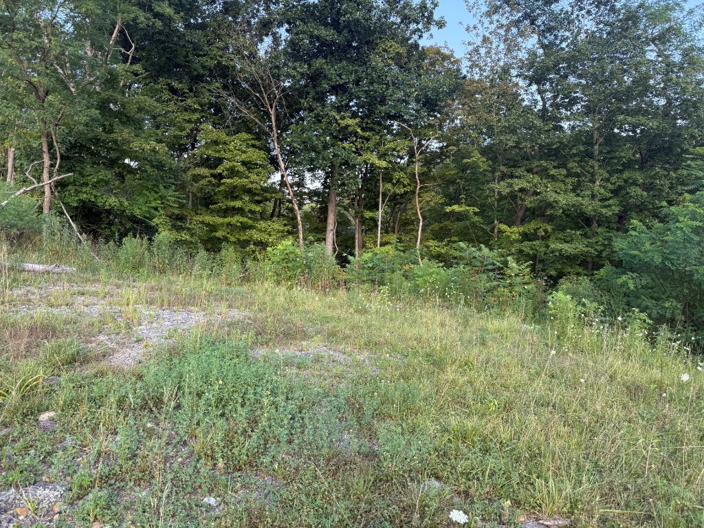 490 Freedom Crider Rd