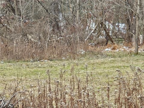 Photo of 2505 Lot 2 Guffey Rd, North Huntingdon, PA 15642 (MLS # 1735063)