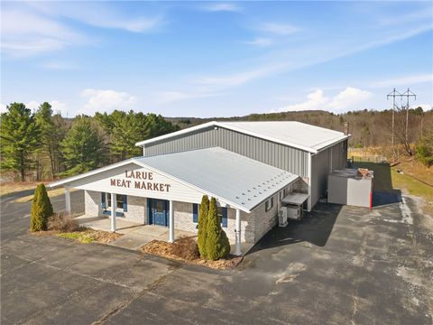 Photo of 1908 Water Level Rd, Somerset, PA 15501 (MLS # 1745978)