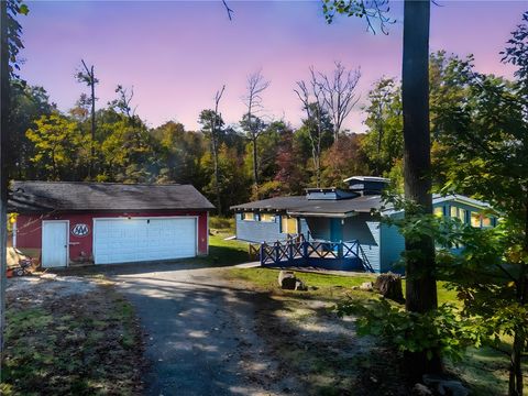 117 Horse Shoe Bend Rd Bullskin Twp PA 15610
