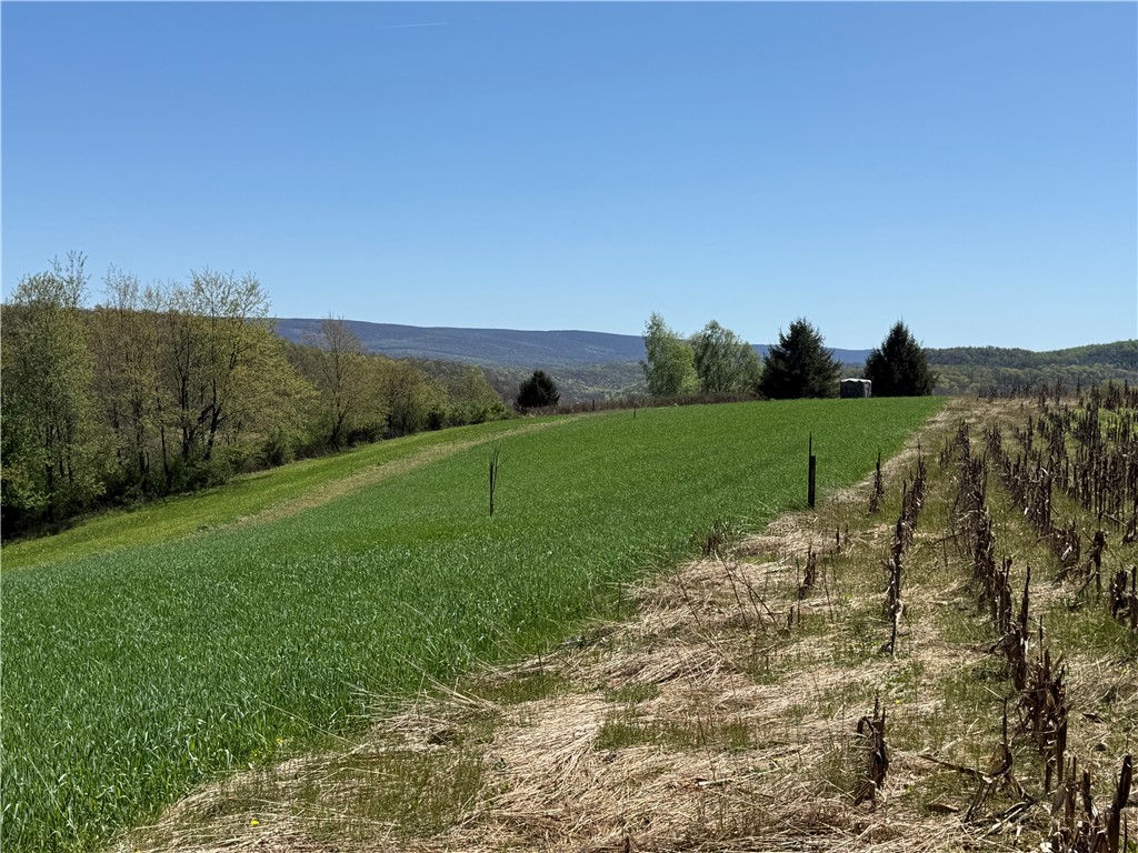 Fairfield Twp, Pennsylvania 15923, United States, ,Residential,Active,147237