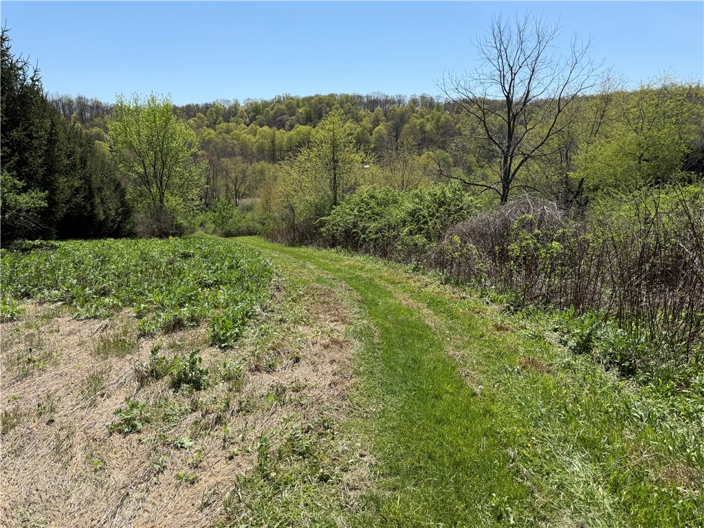 Fairfield Twp, Pennsylvania 15923, United States, ,Residential,Active,147237