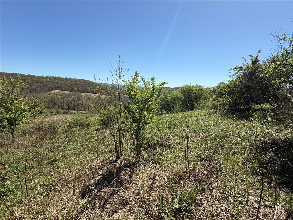 Fairfield Twp, Pennsylvania 15923, United States, ,Residential,Active,147237