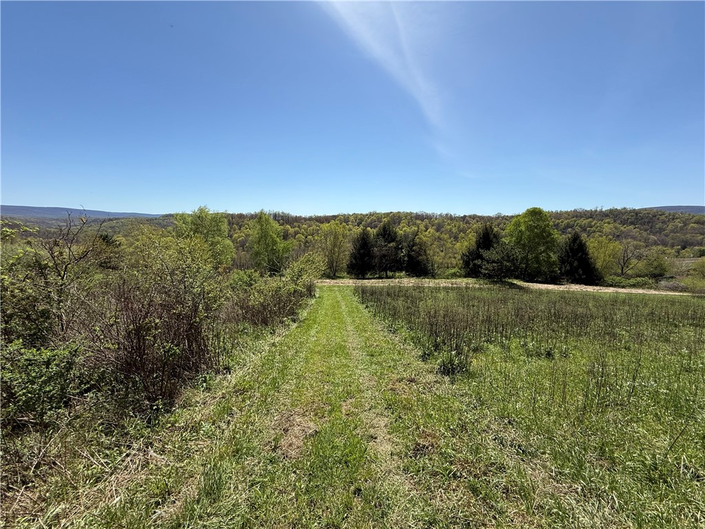 Fairfield Twp, Pennsylvania 15923, United States, ,Residential,Active,147237