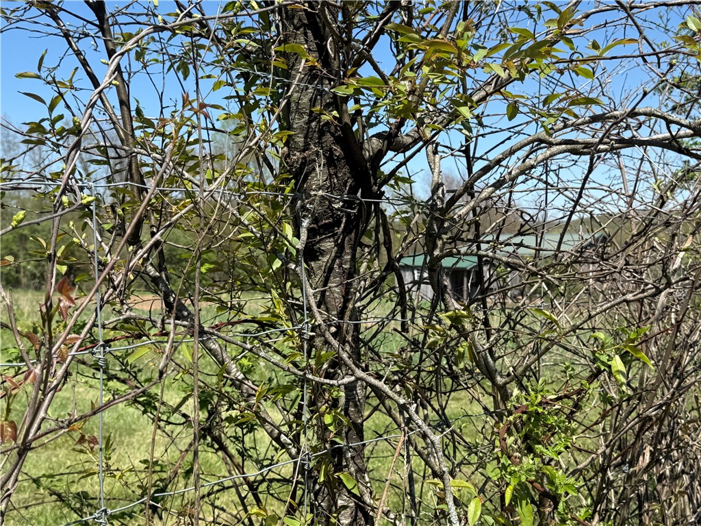 Fairfield Twp, Pennsylvania 15923, United States, ,Residential,Active,147237