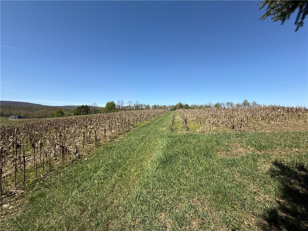 Fairfield Twp, Pennsylvania 15923, United States, ,Residential,Active,147237