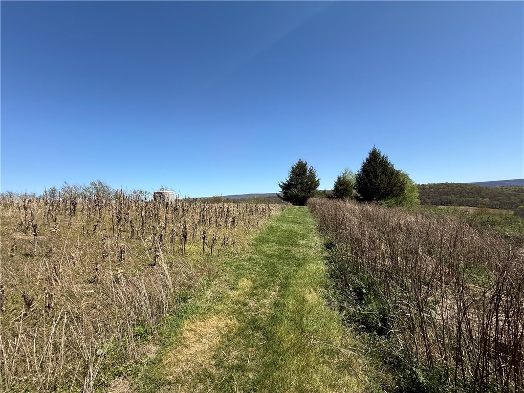 Fairfield Twp, Pennsylvania 15923, United States, ,Residential,Active,147237