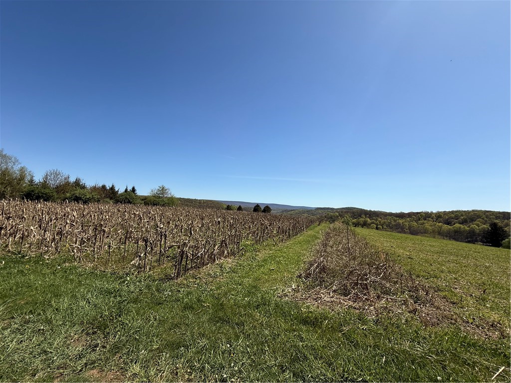 Fairfield Twp, Pennsylvania 15923, United States, ,Residential,Active,147237