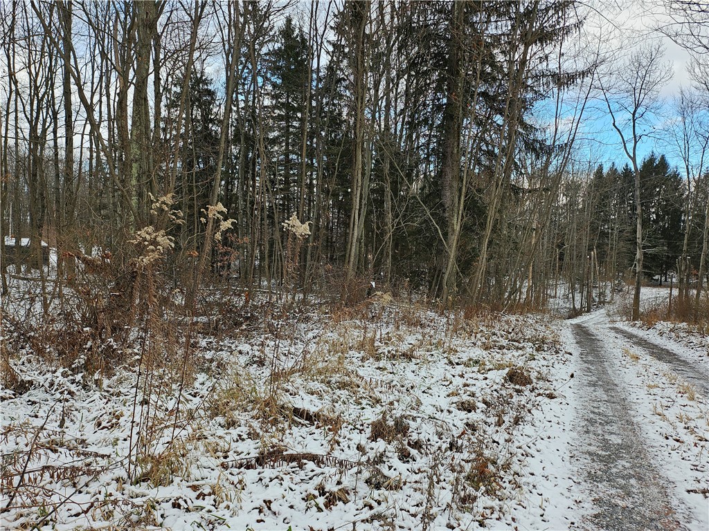 Cherry Twp, Pennsylvania 16020, United States, ,Residential,Active,254175