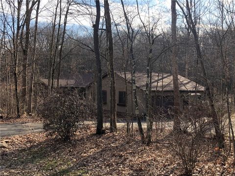 Homes For Sale - 1074 Nemacolin Drive Dr<br/> Fayette County, Ohiopyle, PA 15470