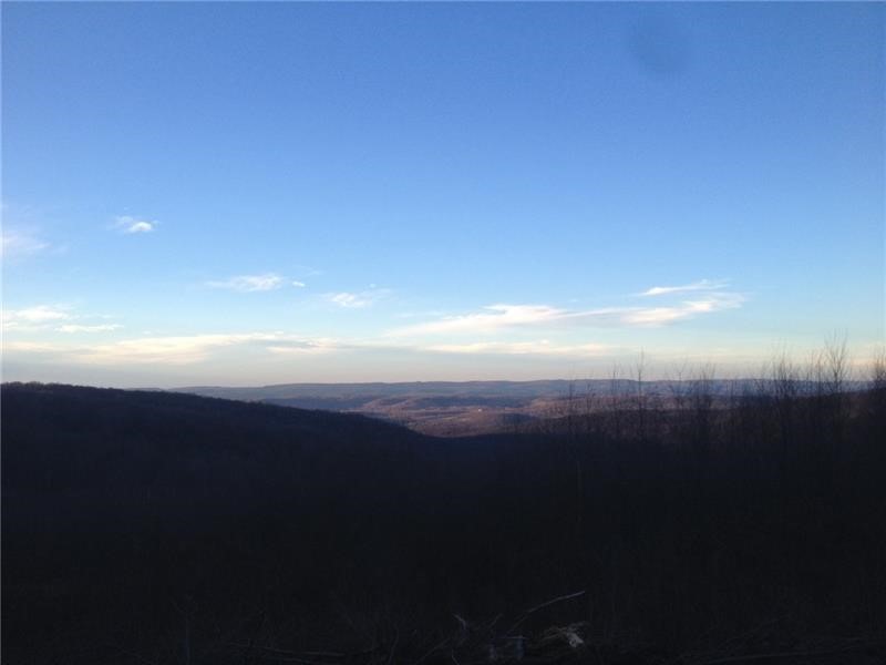 Lot 4 Bluffs Trail