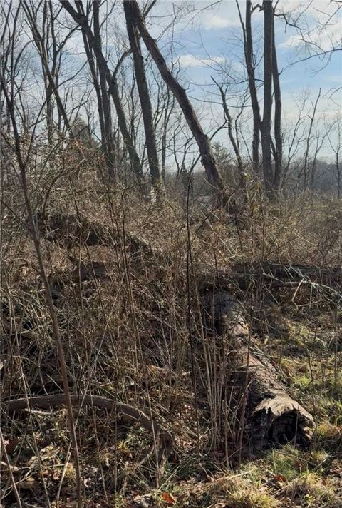 Photo of 0 Charles Street, Cecil, PA 15321 (MLS # 1736478)