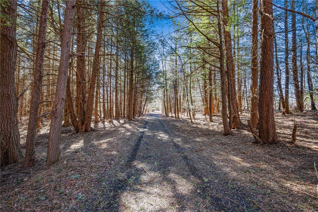 Indian Lake Boro, Pennsylvania 15926, United States, ,Commercial,Active,125070