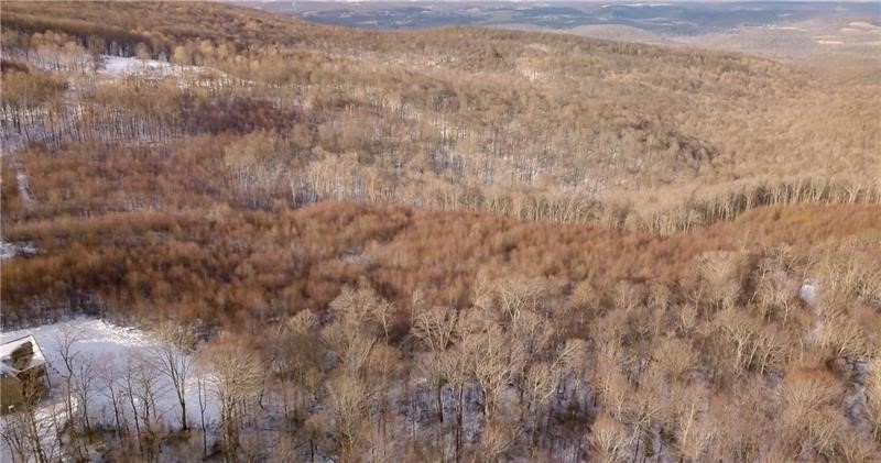Lot 4 Bluffs Trail