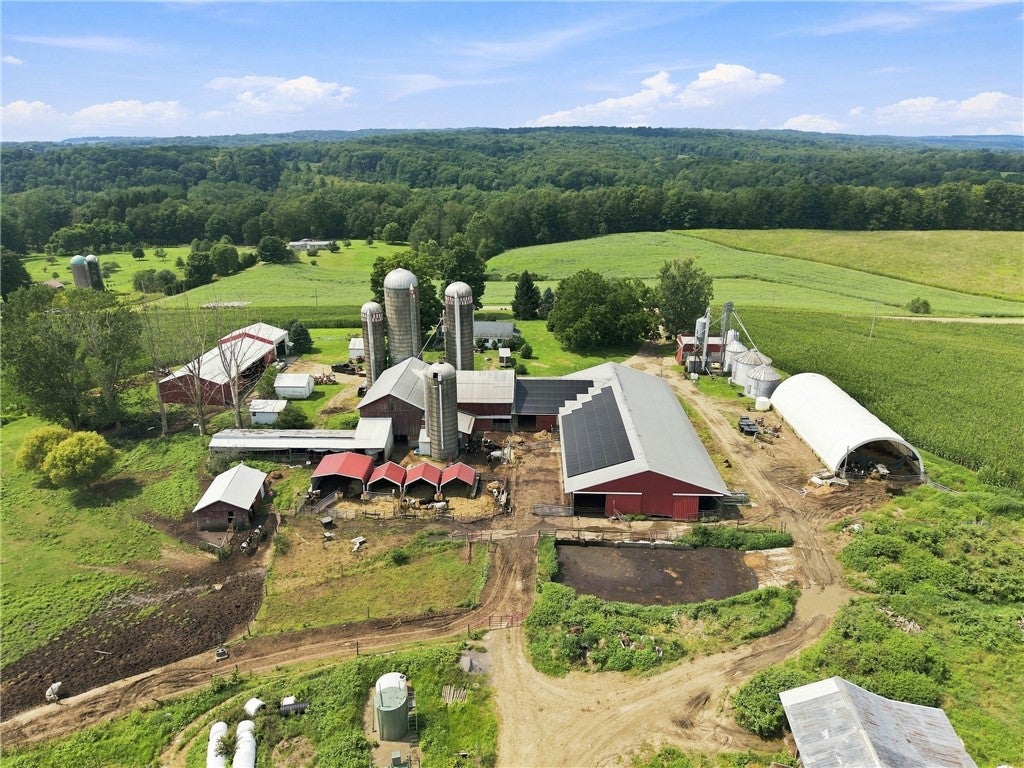 19960 Bockman Hollow Rd
