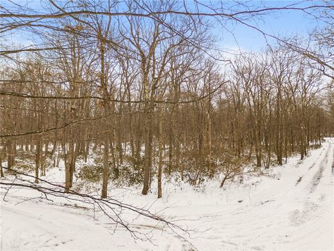 Photo of #86,87 Laurel Dr, Stonycreek Twp, PA 15926 (MLS # 1735939)