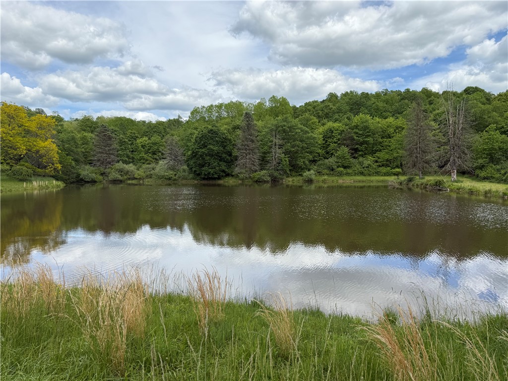 574 Receski Rd