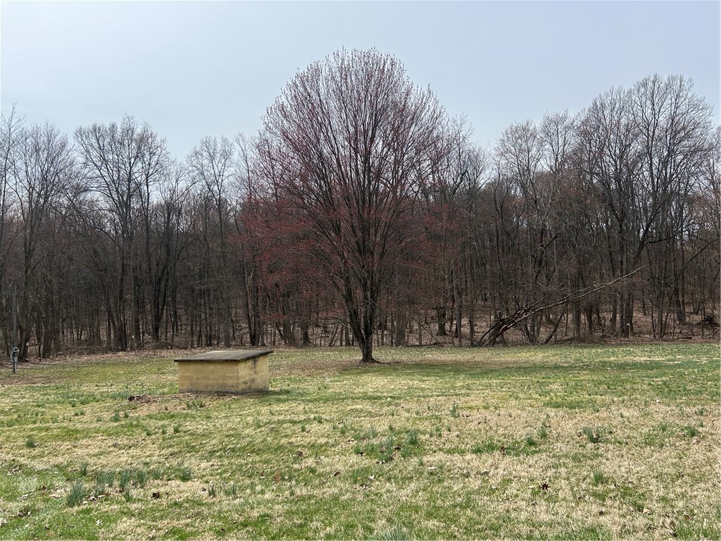 165 Manns Rd Rd, Ruffs Dale, Pennsylvania image 1