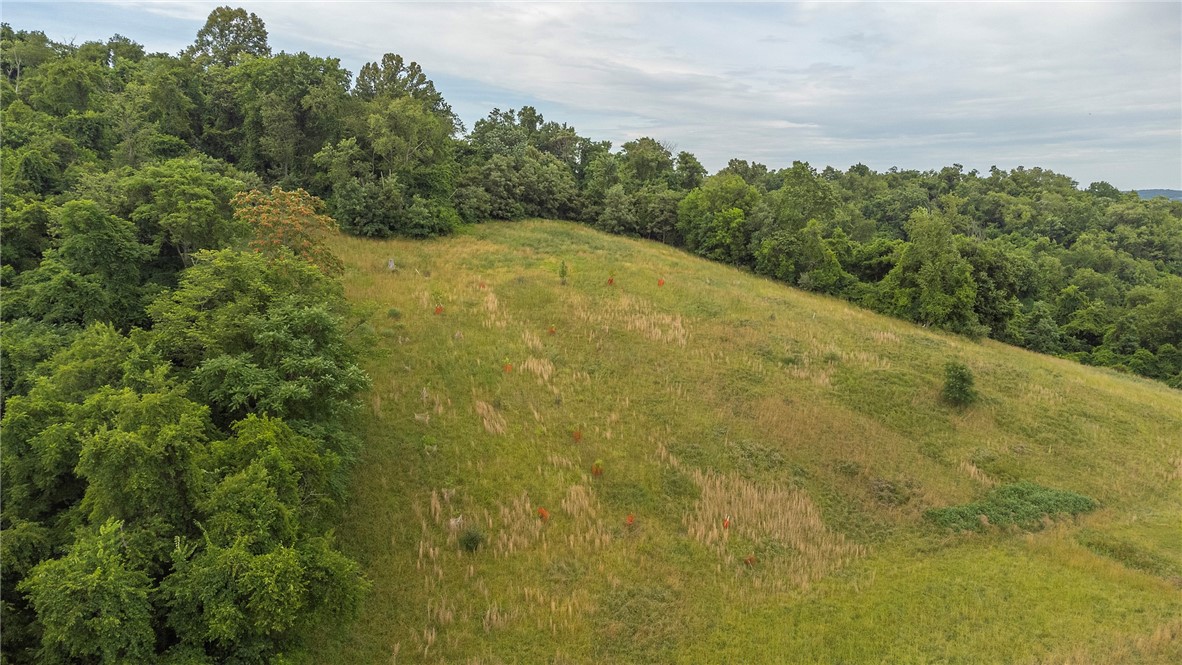 Tony Row - 10 Frazier Drive, Perryopolis, Pennsylvania image 9