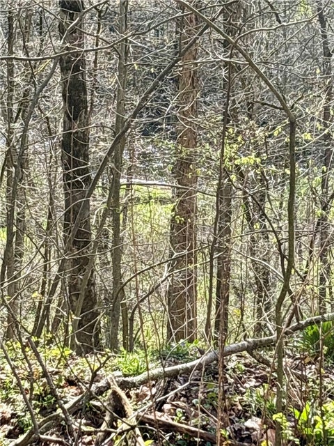 Vacant Land For Sale - Pearson St<br/> Volant Boro, PA 16156