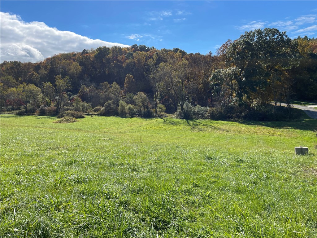 Lot 4 Shag Bark Grove, Murrysville, Pennsylvania image 3