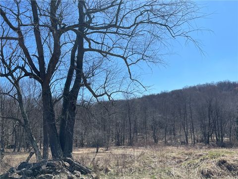 00 Sunflower Ln Brush Val/Buffington PA 15748