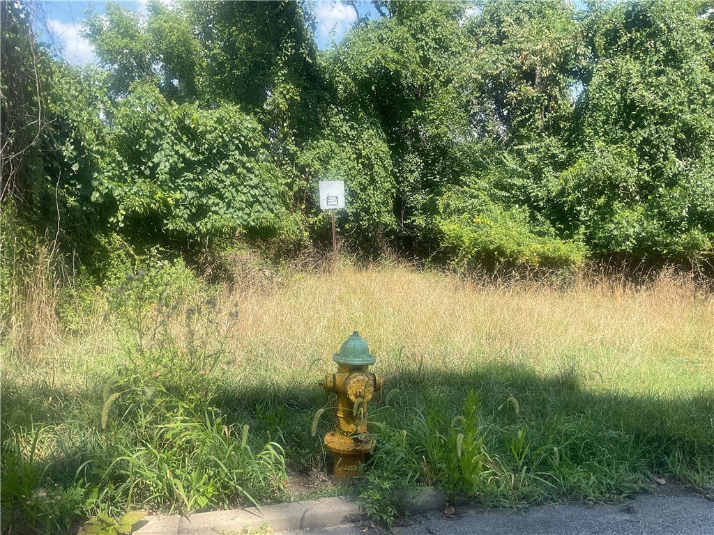 Ridge, Braddock, Pennsylvania image 1