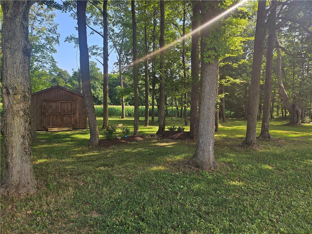 Jackson Twp, Pennsylvania 16133, United States, 3 Bedrooms Bedrooms, ,2 BathroomsBathrooms,Residential,Contingent,184498