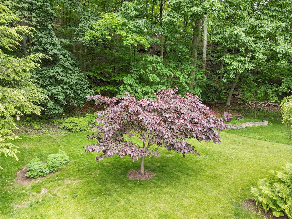 291 Commons Drive Dr, Oakmont, Pennsylvania image 40
