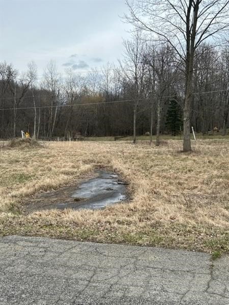0 Troy Dr, Lot 3