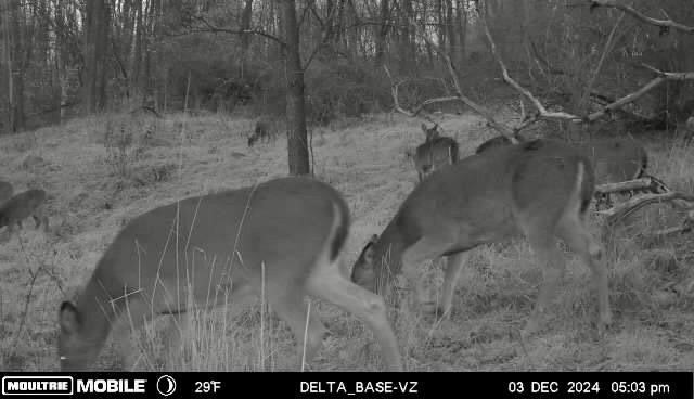 Cherry Twp, Pennsylvania 16020, United States, ,Residential,Pending,182360