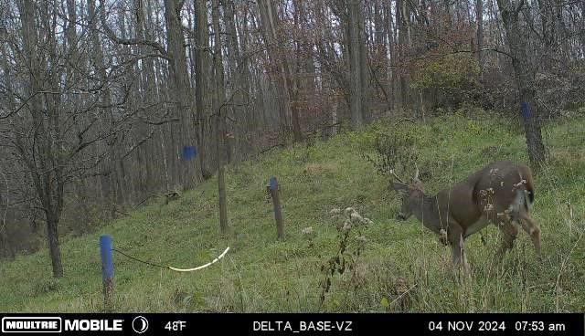 Cherry Twp, Pennsylvania 16020, United States, ,Residential,Pending,182360