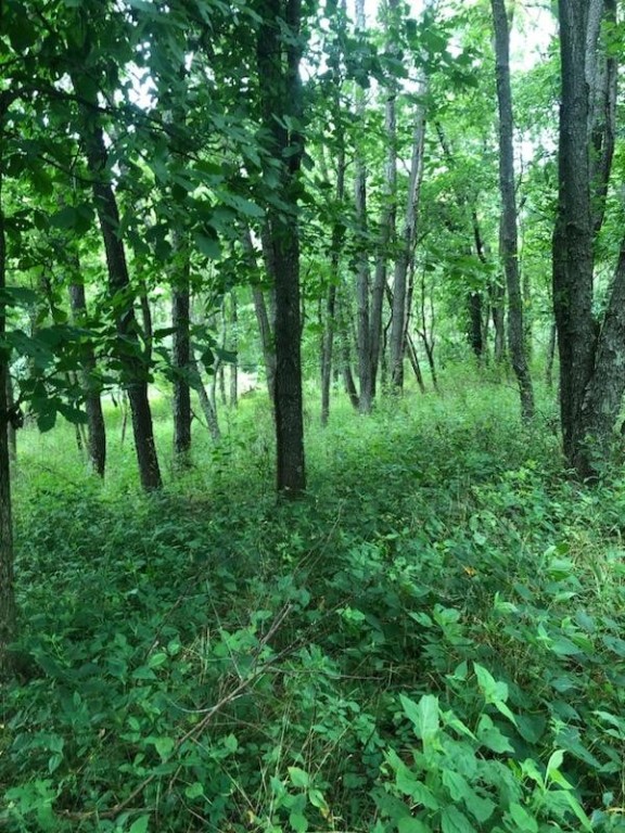 Cherry Twp, Pennsylvania 16020, United States, ,Residential,Pending,182360