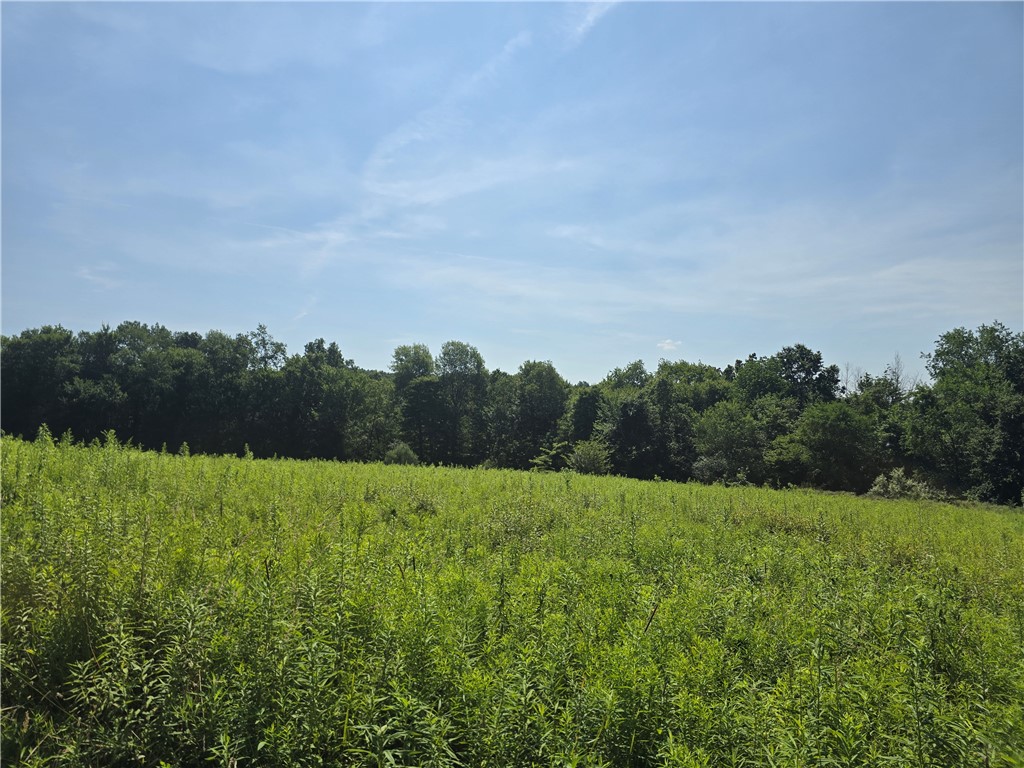 Cherry Twp, Pennsylvania 16020, United States, ,Residential,Pending,182360