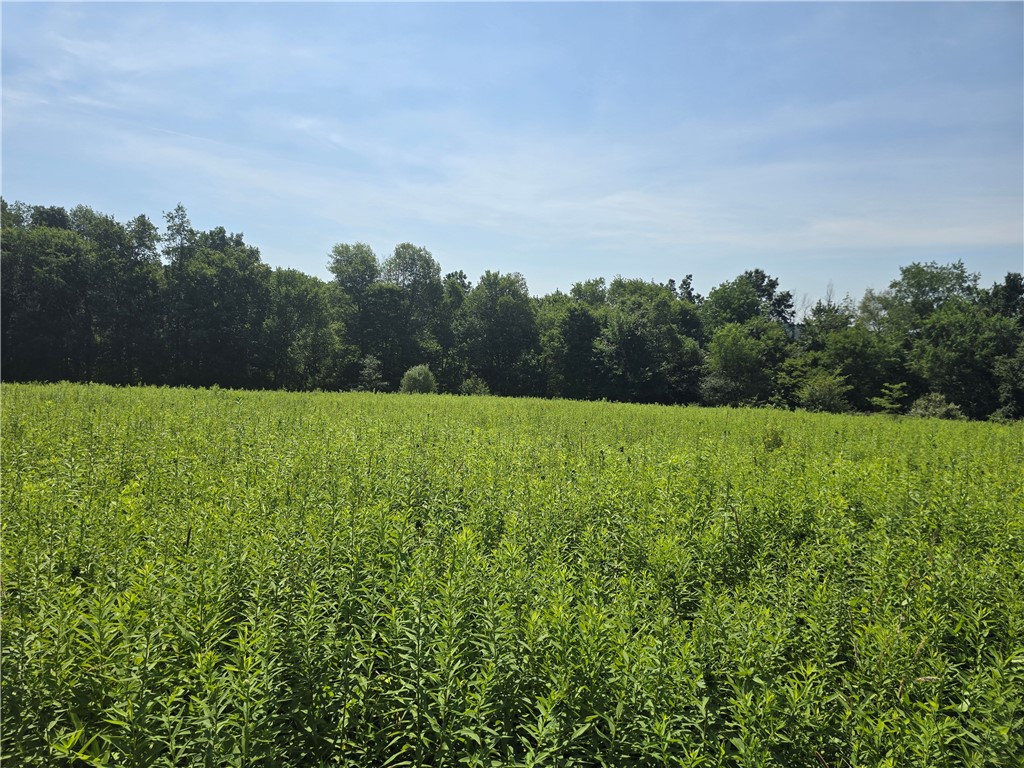 Cherry Twp, Pennsylvania 16020, United States, ,Residential,Pending,182360