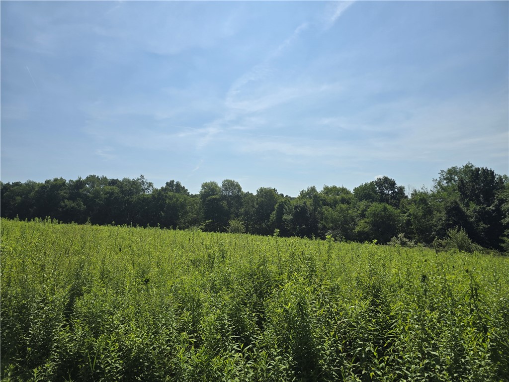 Cherry Twp, Pennsylvania 16020, United States, ,Residential,Pending,182360