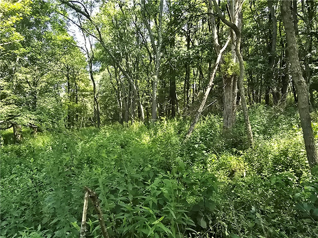 Cherry Twp, Pennsylvania 16020, United States, ,Residential,Pending,182360