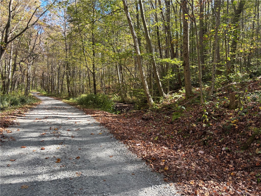 Lot 1 Neals Run Road