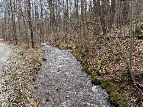 Vacant Land For Sale - LOT 1 Neals Run Road Rd<br/> Fayette County, Saltlick Twp, PA 15622